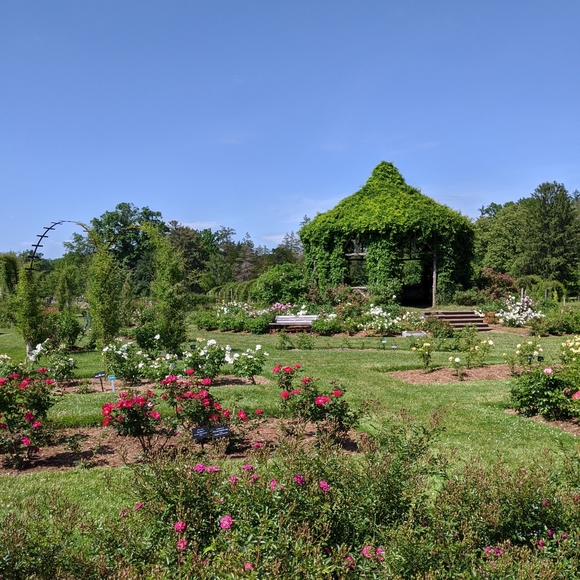 Meet your Posher, Julia - Picture 2 of 10